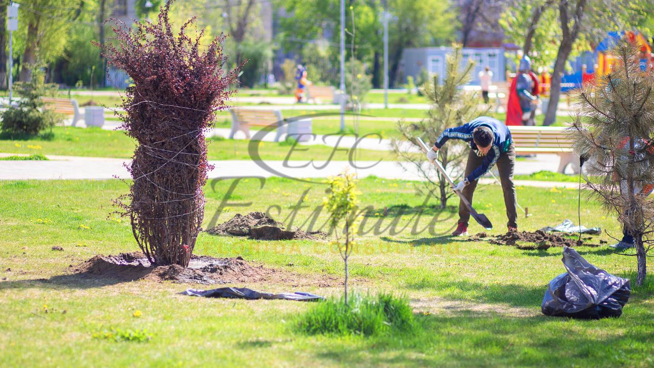 Landscaping Cost Estimator in Queens