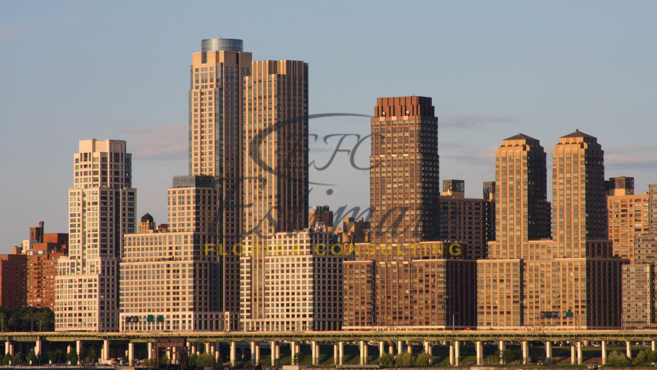 The Bronx