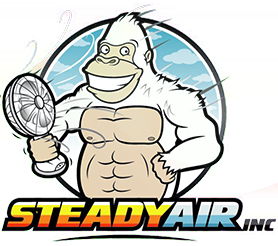 SteadyAir Inc.