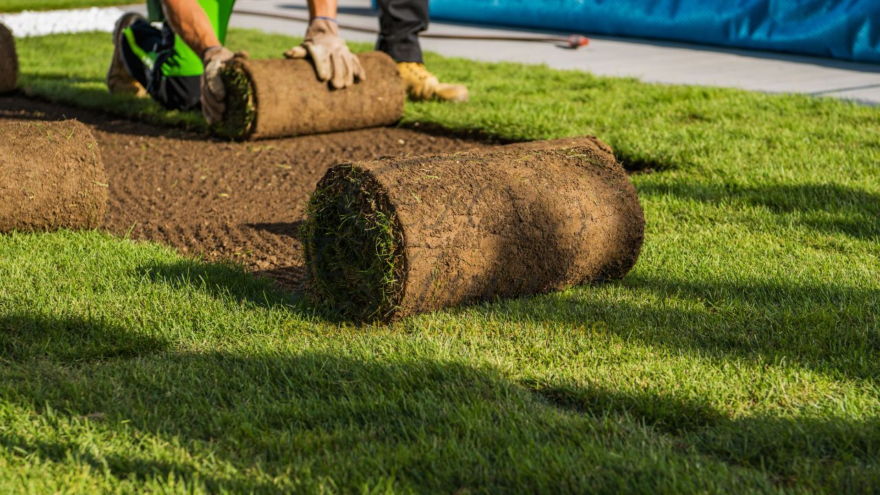 How to Sell Your Landscaping Business and Exit Successfully