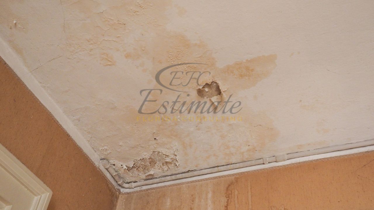 Why Prevention Beats Restoration Every Time